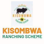 Kisombwa