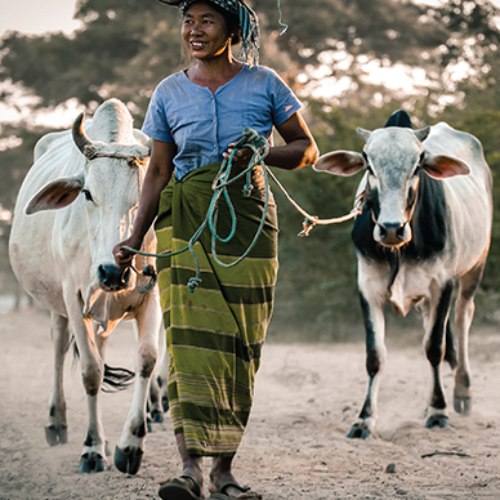 woman grazing-portrait