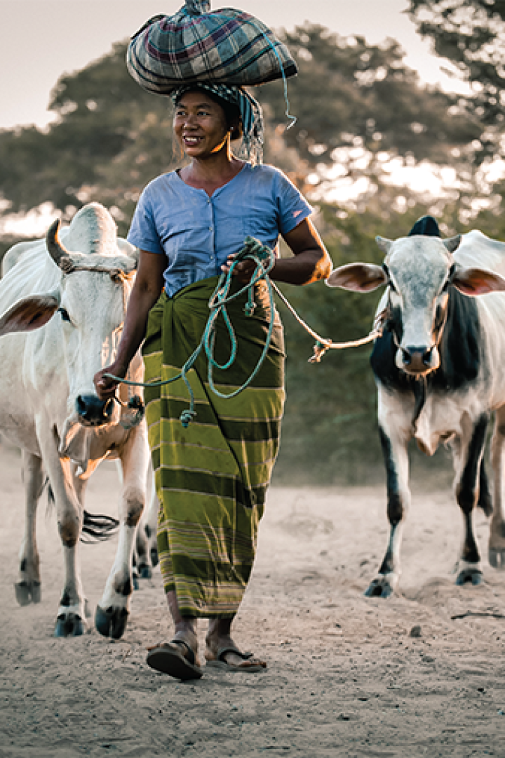 woman grazing-portrait